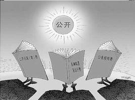 公開[漢語詞語]