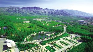 大青山野生動物園 大青山野生動物園
