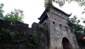 鳳凰區域性防禦體系 鳳凰區域性防禦體系