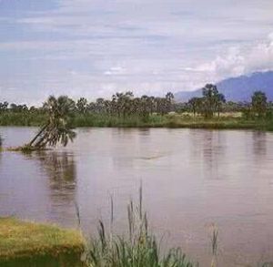 魯濟濟河 魯濟濟河