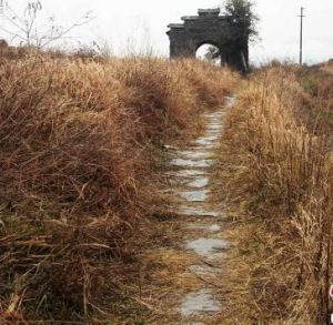 西京古道[地區景點]