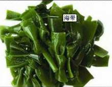 海帶