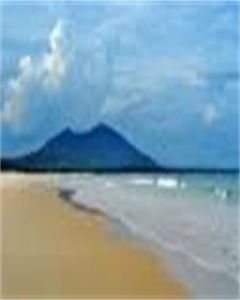 自然資源經濟 自然資源經濟