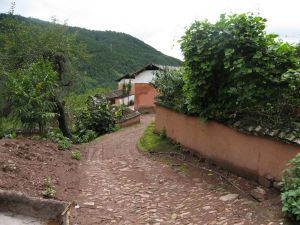 河上箐村 河上箐村