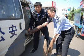 治安大隊 治安大隊