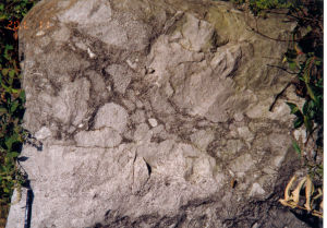 古地磁地層法 古地磁地層法