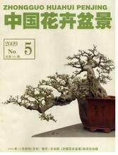 中國花卉盆景 中國花卉盆景