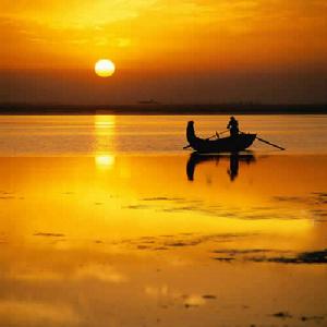 微山湖紅荷濕地