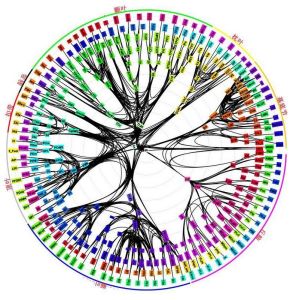 “意識的曼陀羅”：獼猴大腦長距網路，跨越皮質，丘腦，以及基底神經節，顯示了383個大腦區域之間的6602個長距連線。（美國國家科學院院刊）