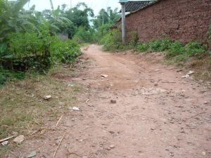 外扎龍村 外扎龍村