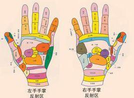 摸索反射 摸索反射