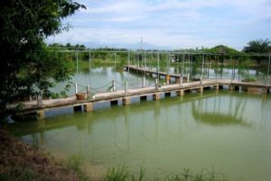 南寧鄉村大世界 南寧鄉村大世界