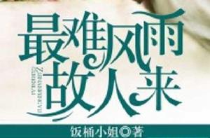 最難風雨故人來 最難風雨故人來