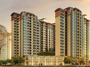 雲頂上品 雲頂上品