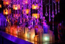 羅馬酒節日 羅馬酒節日