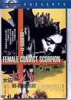 第41號女囚房 第41號女囚房