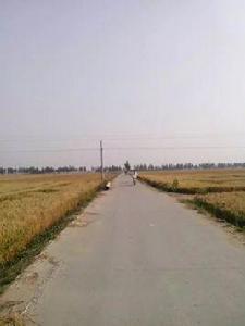 高陵村[河北省石家莊市無極縣大陳鎮下轄村]