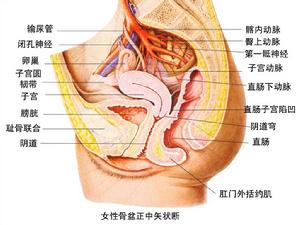 先天性直腸肛門發育畸形