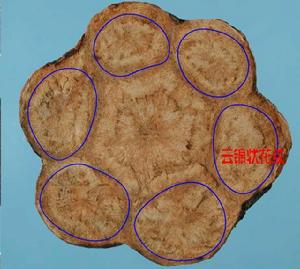 雲錦花紋 雲錦花紋