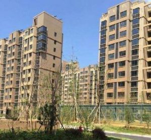 民和家園 民和家園