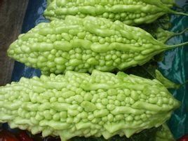 苦瓜根 苦瓜根