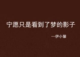 寧願只是看到了夢的影子 寧願只是看到了夢的影子