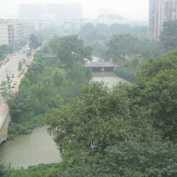 府青路16號 府青路16號