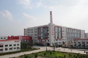 山東金正大生態工程股份有限公司 山東金正大生態工程股份有限公司