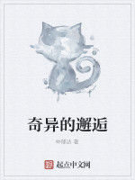 奇異的邂逅 奇異的邂逅