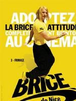 《小子布里斯》