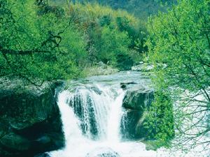 長青國家級自然保護區 長青國家級自然保護區