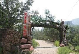 大聖堂村 大聖堂村