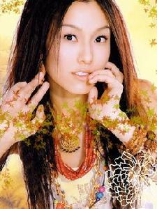 我不愛了 我不愛了