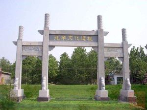 北辛文化遺址 北辛文化遺址