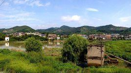 白家寨村[河北省邢台市隆堯縣蓮子鎮鎮白家寨村]