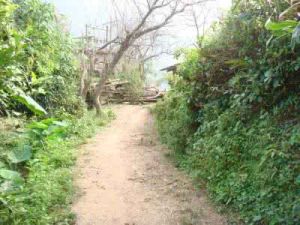 轉坡田自然村 轉坡田自然村