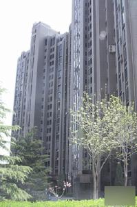 西區國際公寓樓盤實景圖