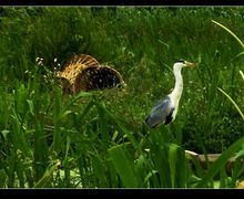 威寧是個好地方