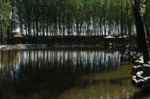 窯院晉殿懸冰景區