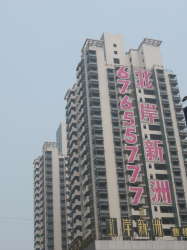 北岸新洲 北岸新洲