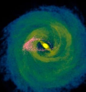 食物殘骸 食物殘骸