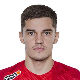 羅曼·佐布寧 羅曼·佐布寧