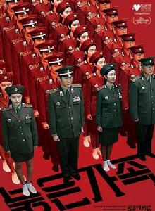 紅色家族 紅色家族