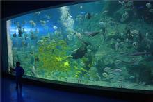 威海神遊海洋世界