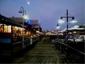 費利曼圖 費利曼圖