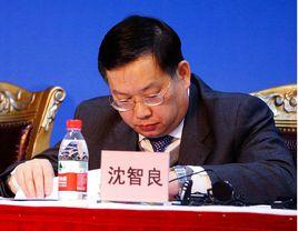 沈智良 沈智良