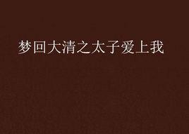 夢回大清之太子愛上我 夢回大清之太子愛上我