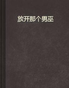 放開那個男巫 放開那個男巫