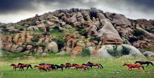 哈撒兒旅遊景區 哈撒兒旅遊景區