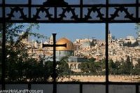 橄欖山高清圖冊